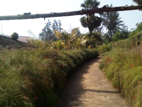 WhatsApp Image 2019-11-06 at 4.28.49 PM