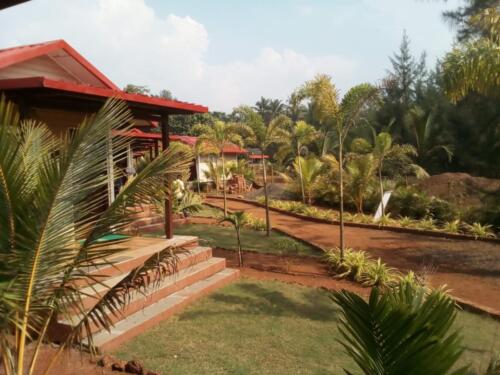 WhatsApp Image 2019-11-06 at 4.29.36 PM