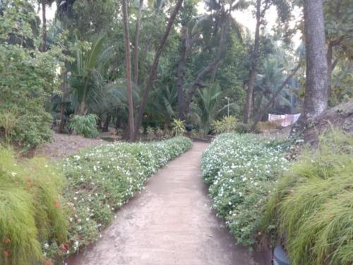 Hotel and Resort Management amaranth website4
